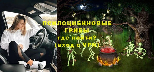 спиды Абаза