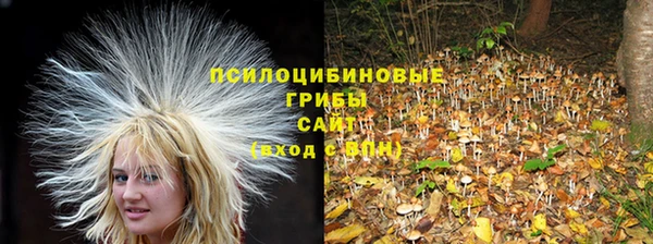 марки nbome Алзамай