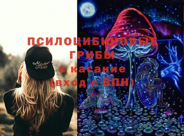 стаф Алексин