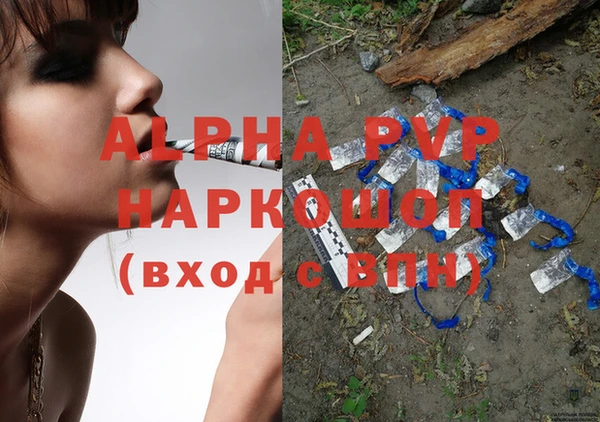 стаф Алексин