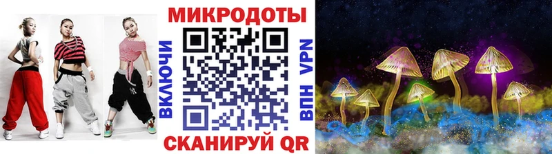сайты даркнета наркотические препараты  Щёлково  OMG маркетплейс  Галлюциногенные грибы Psilocybine cubensis  магазин продажи  
